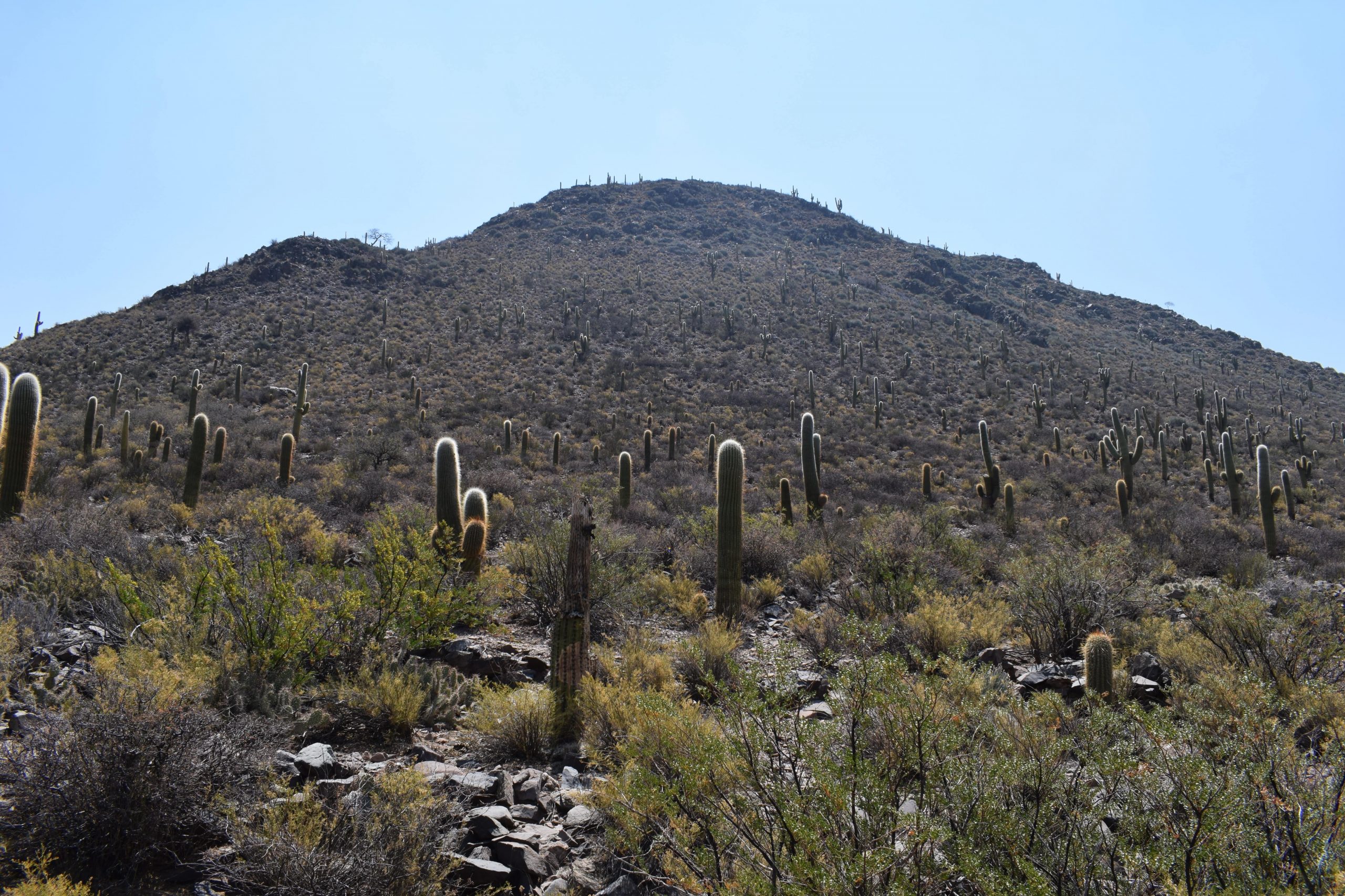 Cortaderas Alto visto desde Cortaderas bajo. Dominio público