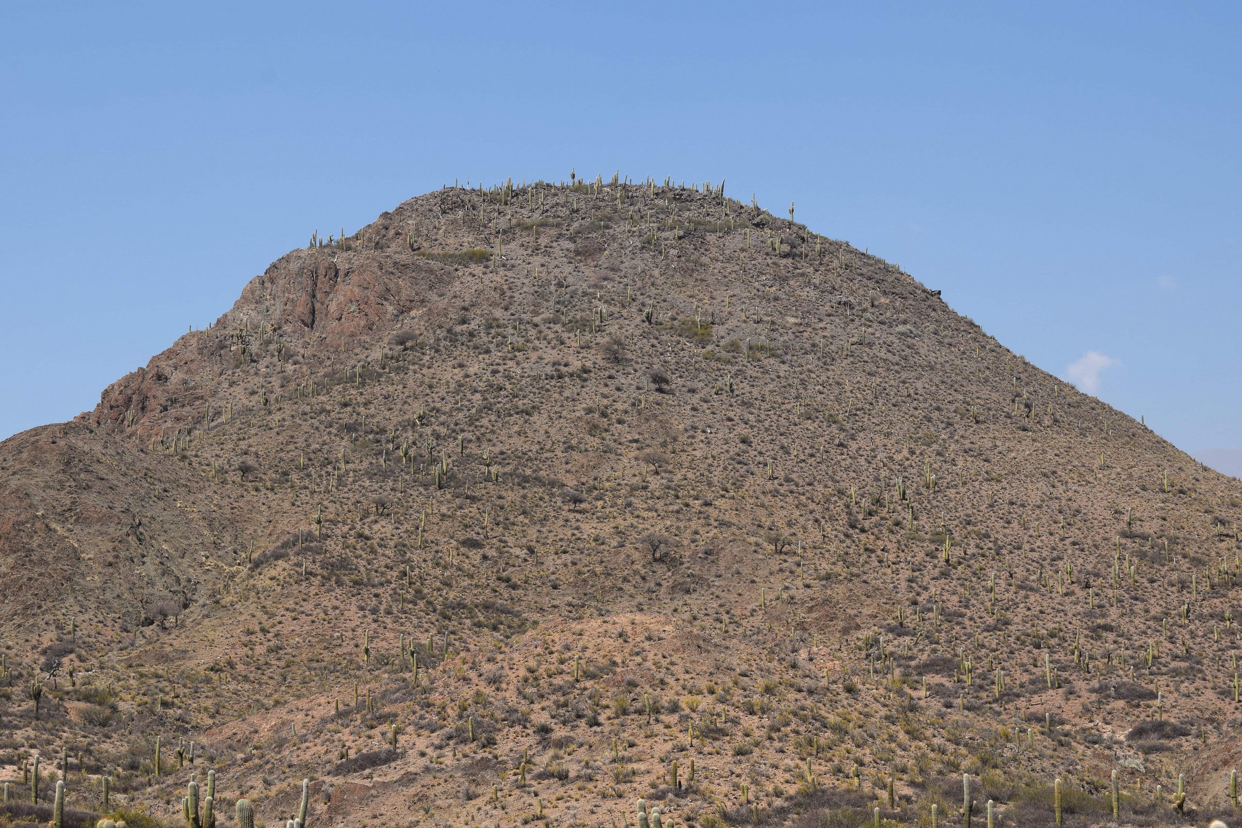 Vista del sitio Cortaderas Alto desde el norte. Dominio público.
