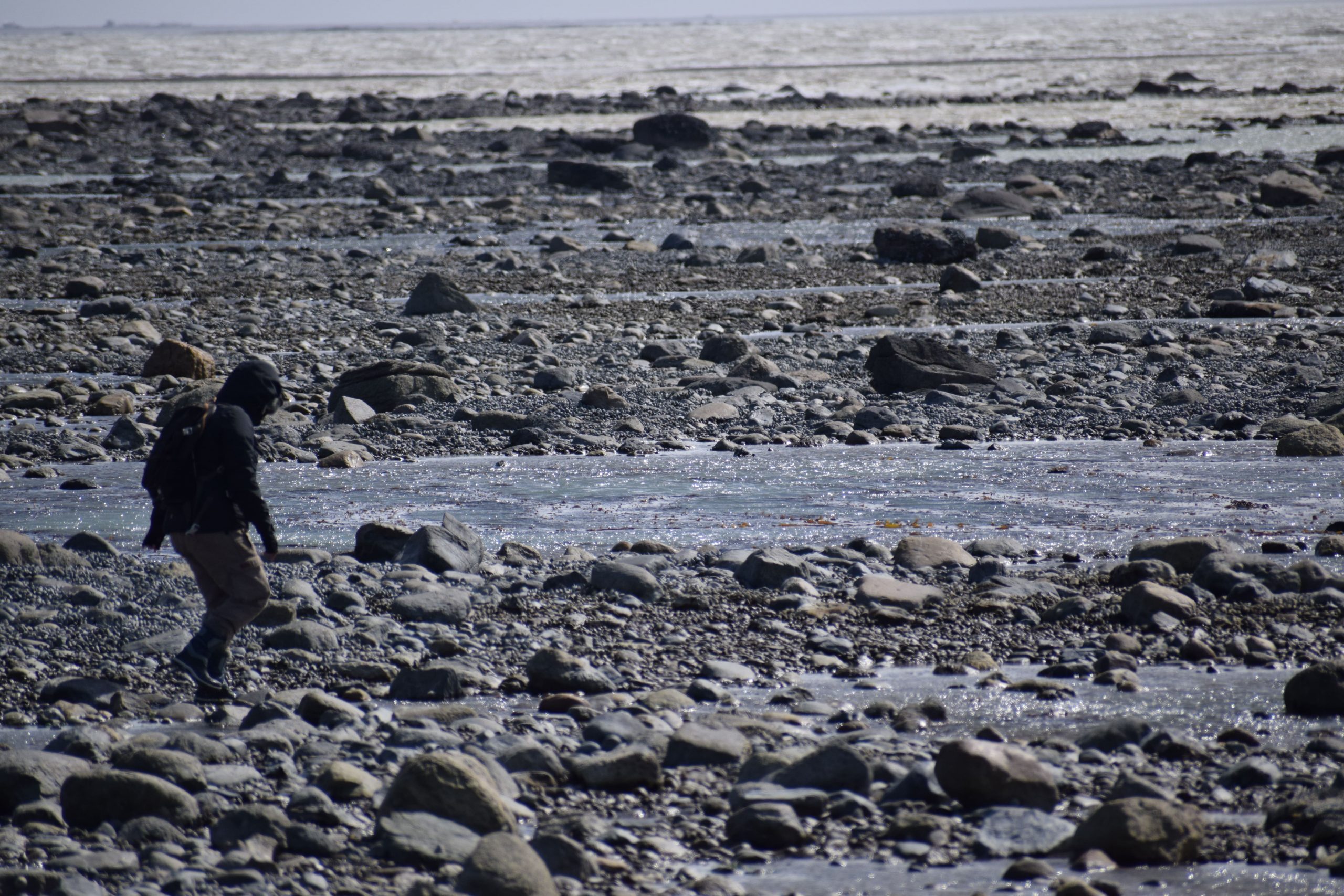 Prospección de la restinga de cabo San Sebastián (Tierra del Fuego). Autora de la foto - C. Balirán. Creative Commons.