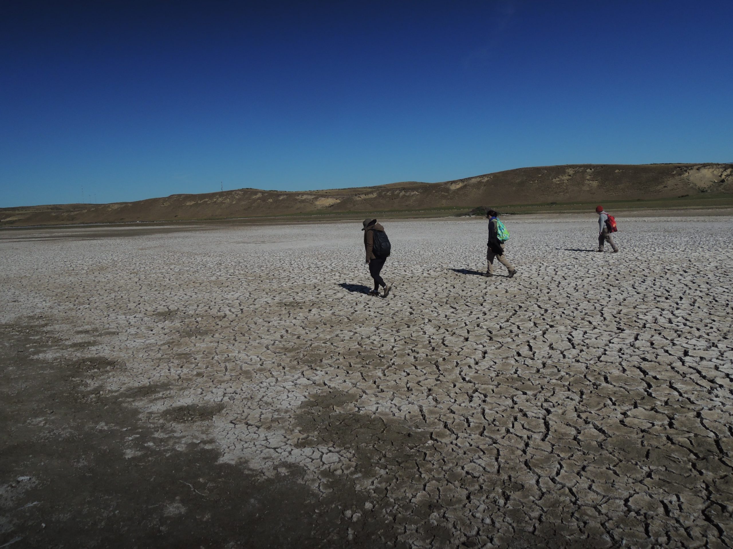 Realizando transectas lineales en laguna seca (Tierra del Fuego, Argentina). Autora de la foto - K. Borrazzo. Creative Commons