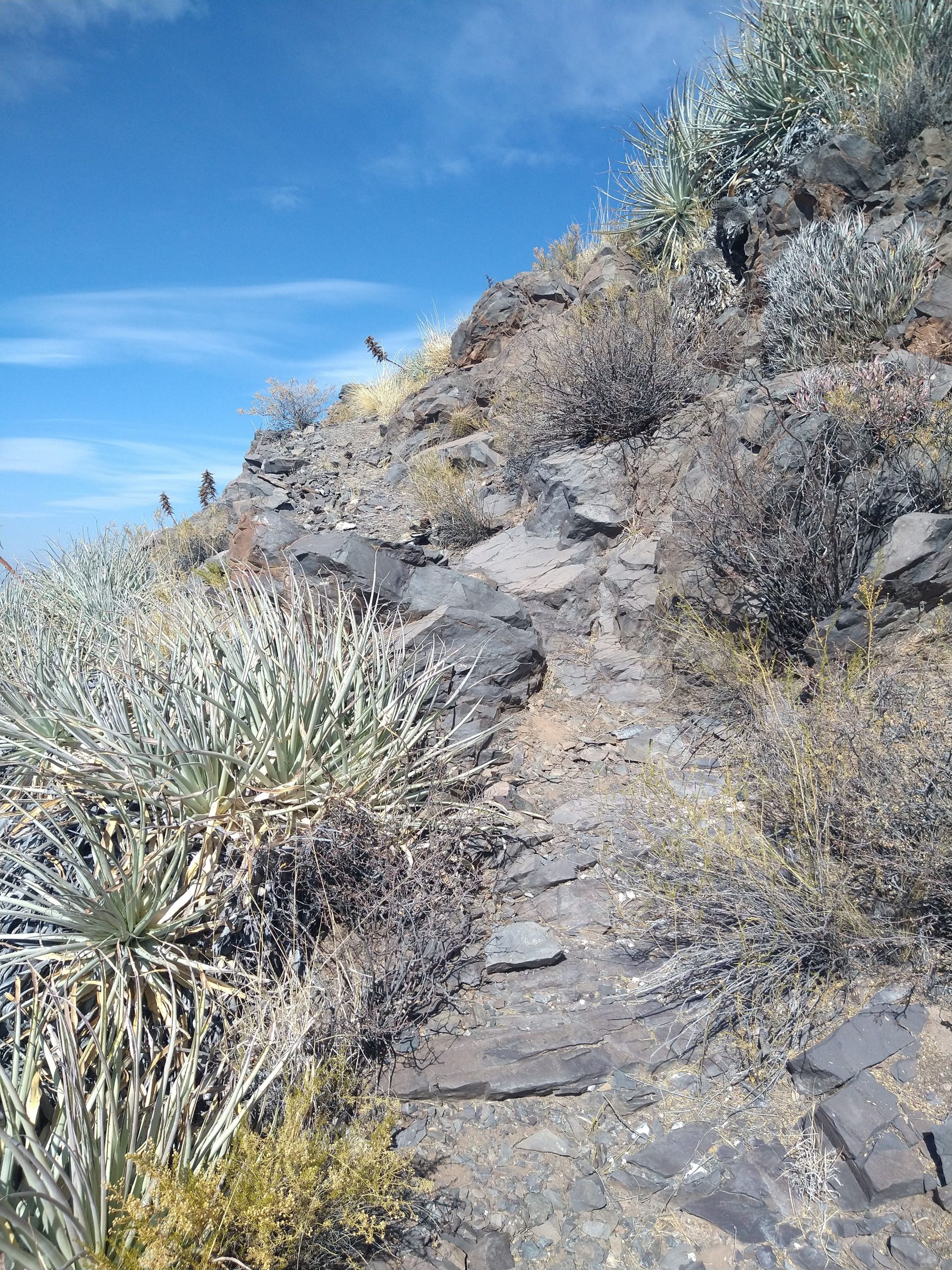 Camino en Cortaderas Alto. Dominio público.