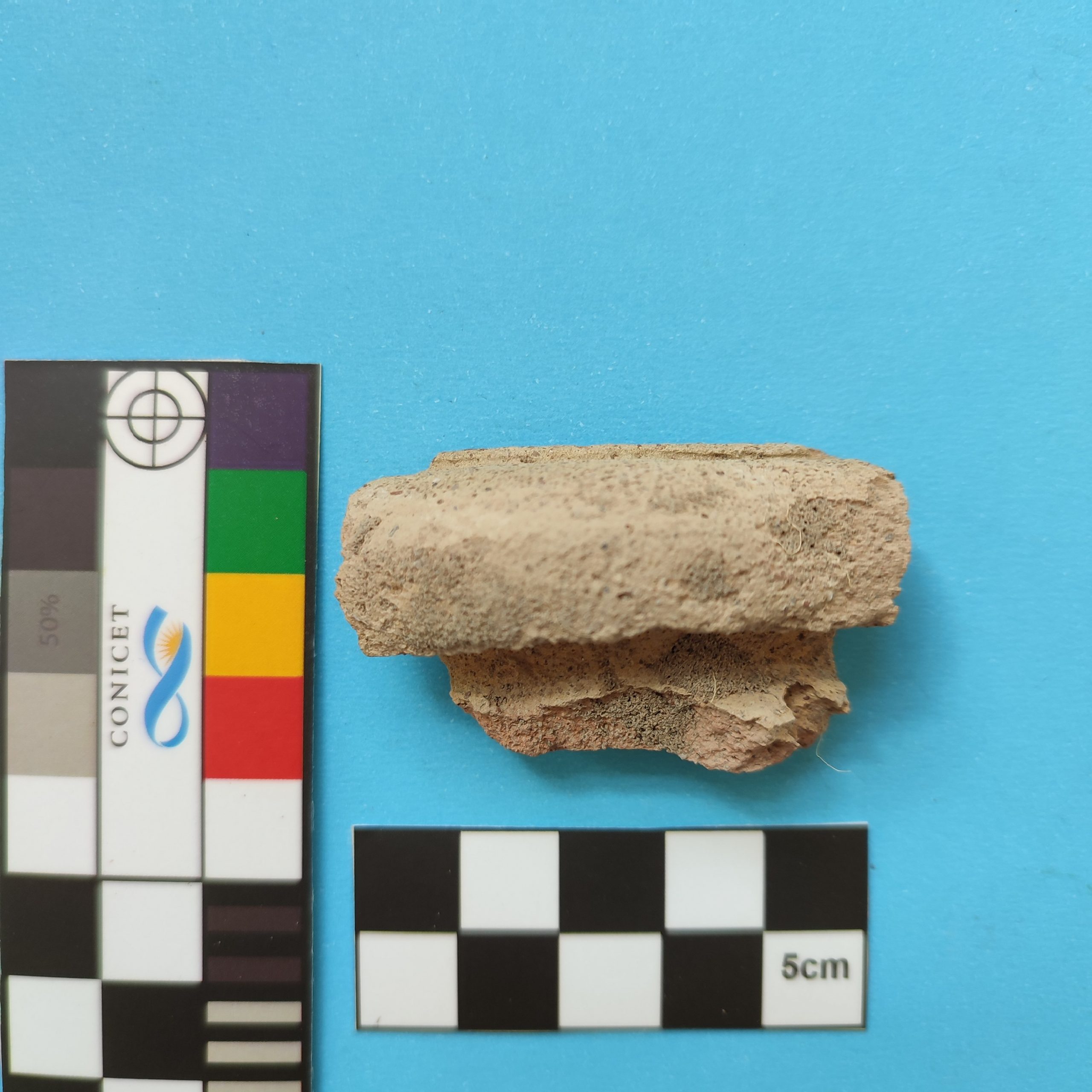 Fragmento de pico de botija española de fines del siglo XVIII. Foto: Proyecto "Abordajes arqueológicos al Fuerte San José y Manantiales Villarino, Península Valdés, Chubut (1779-1810)”. Creative Commons.